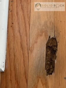 Termite damage found beneath wood flooring during a Central Texas home inspection in Austin